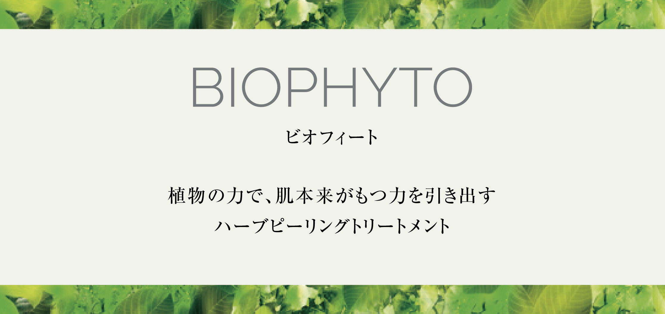 クリスチーナ　ビオフィート